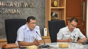 Membidik Rantai Nilai Ayam, Kementan Siapkan Klaster Hilirisasi Nasional